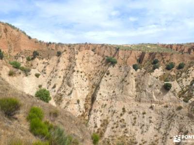 Cárcavas del Pontón de la Oliva y Patones | Badlands de Guadalajara; tienda senderismo senderos ecol